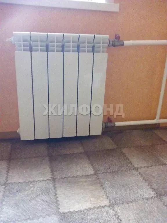 Студия Кемеровская область, Кемерово Инициативная ул., 27а (16.6 м) - Фото 2