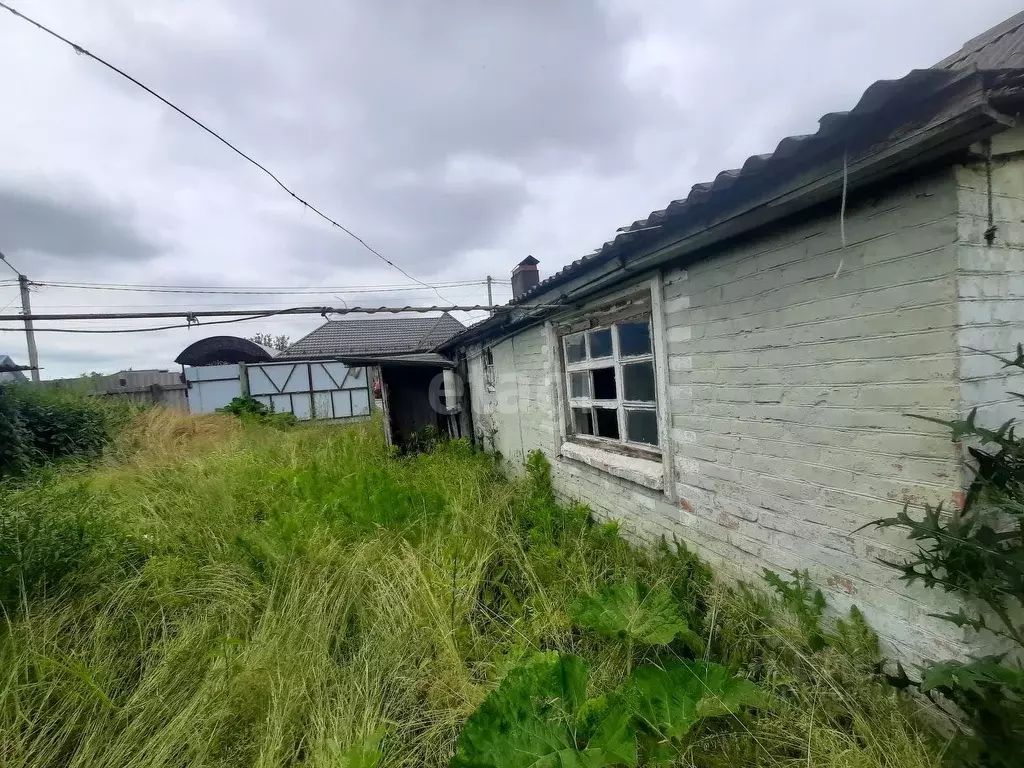 Дом в Белгородская область, Алексеевка ул. Никитина, 35 (60 м) - Фото 1
