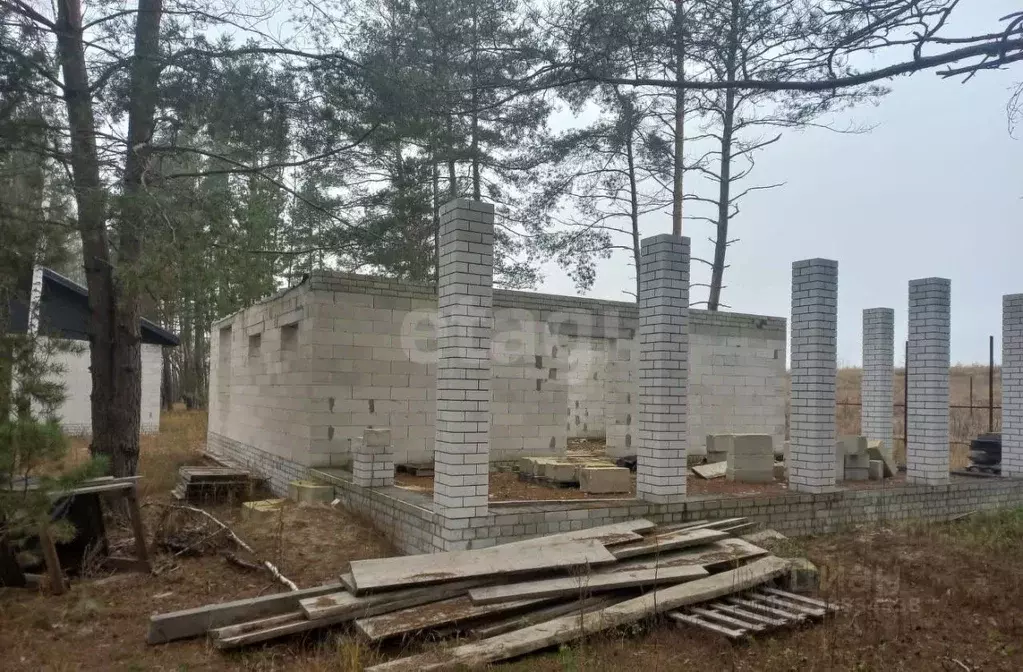 Участок в Воронежская область, Рамонский район, Новоживотинновское ... - Фото 2