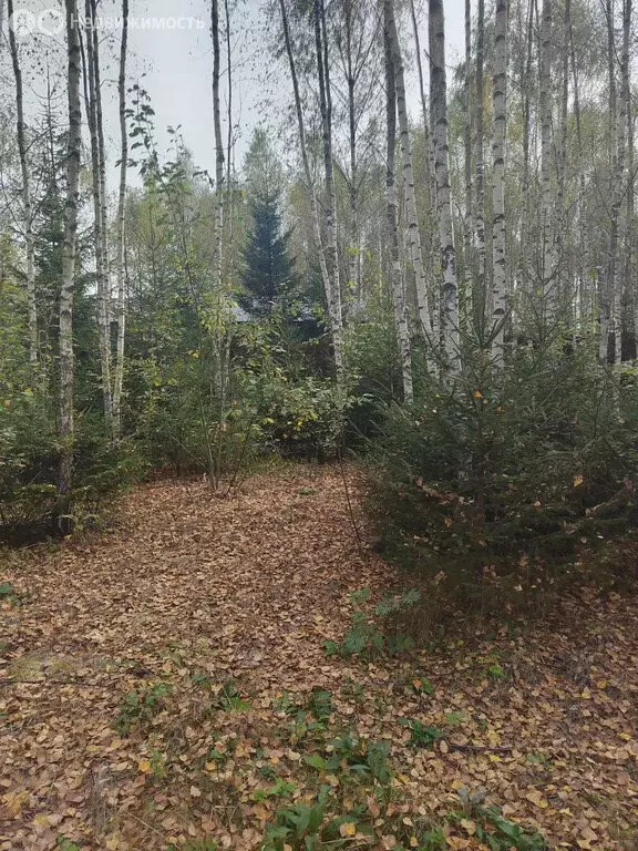 Участок в Московская область, городской округ Ступино, ТСН Шелково (10 ... - Фото 0