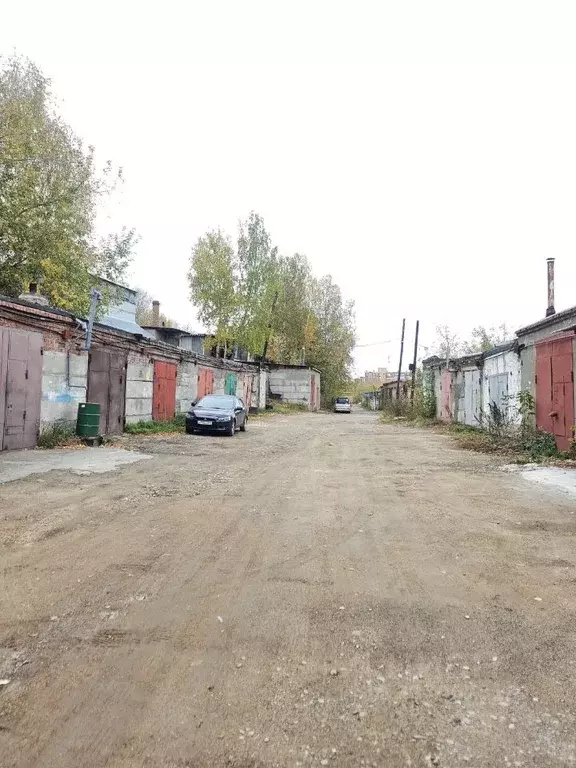 Гараж в Новосибирская область, Новосибирск Кубовая ул., с112/644 (51 ... - Фото 1