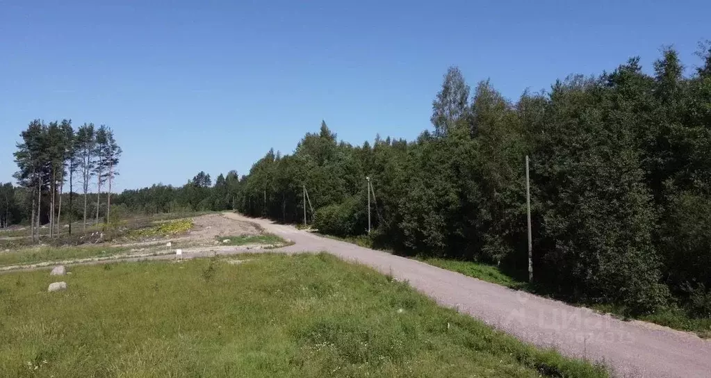 Участок в Ленинградская область, Выборгский район, Полянское с/пос, ... - Фото 2