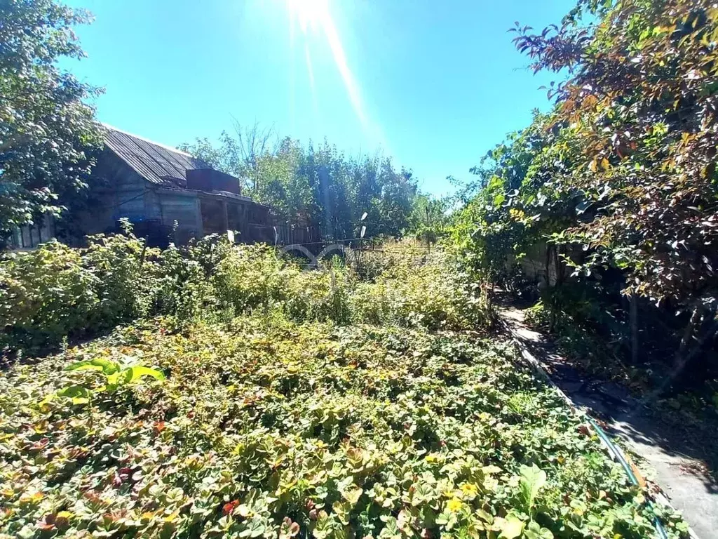 Участок в Волгоградская область, Волжский Заканалье СНТ, ул. 20-я ... - Фото 1