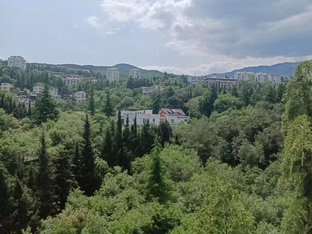 Студия Крым, Ялта ул. Блюхера, 40 (28.0 м) - Фото 2