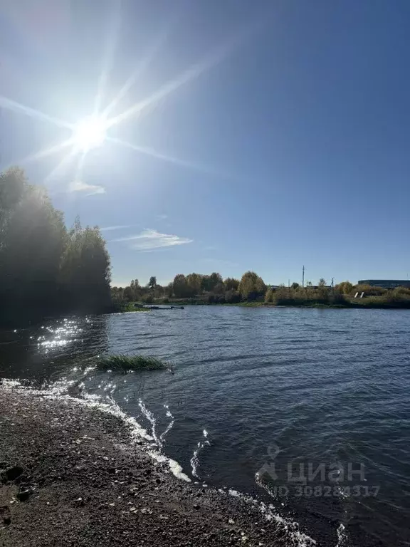 Участок в Пермский край, Частинский муниципальный округ, с. Бабка  ... - Фото 0