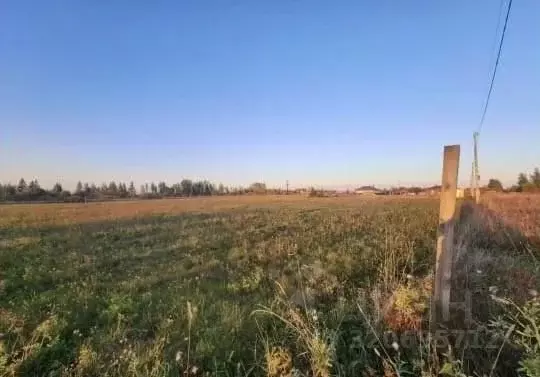 Участок в Тверская область, Калининский муниципальный округ, д. ... - Фото 1