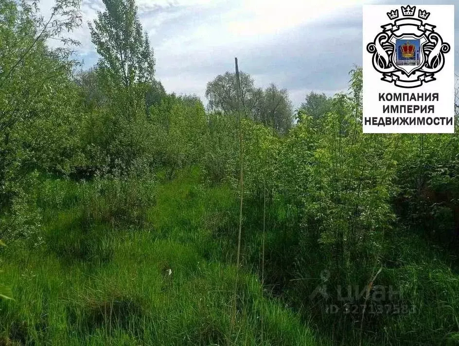 Участок в Белгородская область, Шебекинский муниципальный округ, с. ... - Фото 2