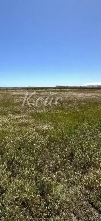Участок в Крым, Феодосия ул. Каштановая (10.0 сот.) - Фото 1