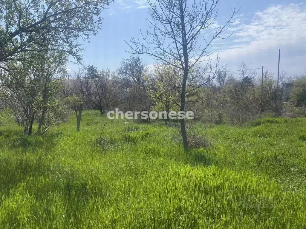 Участок в Севастополь с. Осипенко, пер. Виноградаря (10.0 сот.) - Фото 2