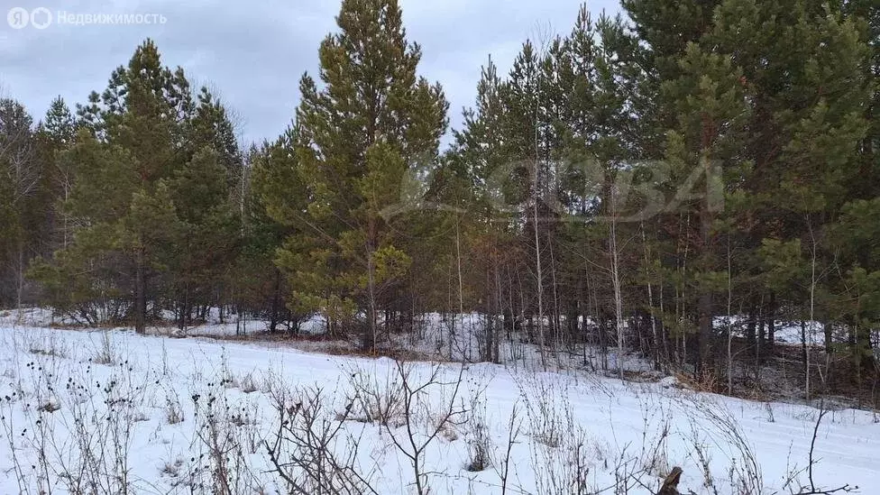 Участок в Нижнетавдинский район, деревня Новопокровка (15 м) - Фото 0