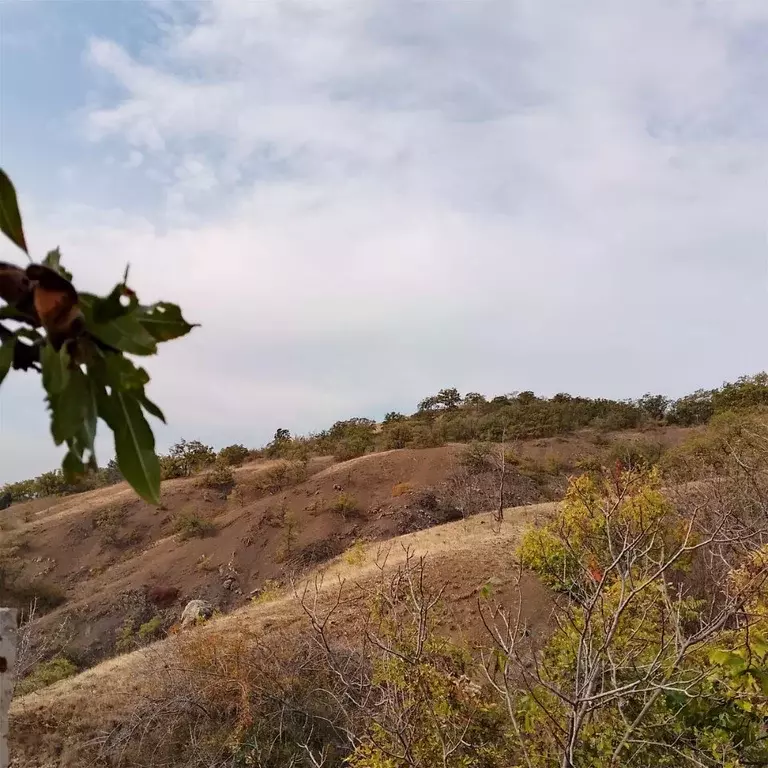 Участок в Крым, Алушта муниципальный округ, с. Рыбачье ул. Дачная ... - Фото 2