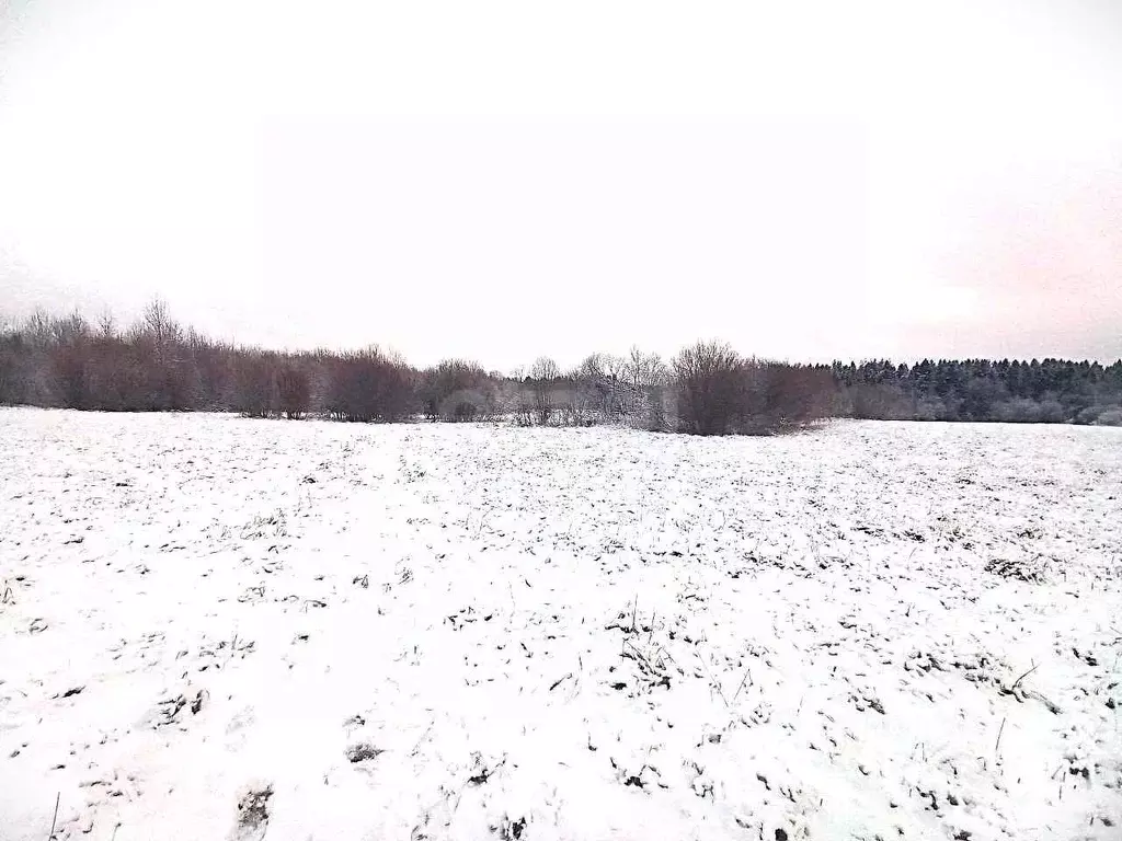 Участок в Кировская область, Слободской район, д. Стулово ул. ... - Фото 1