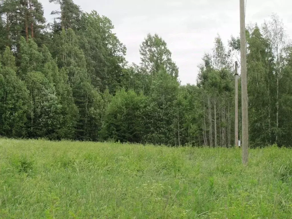 Участок в Ленинградская область, Выборгский район, Советское городское ... - Фото 0