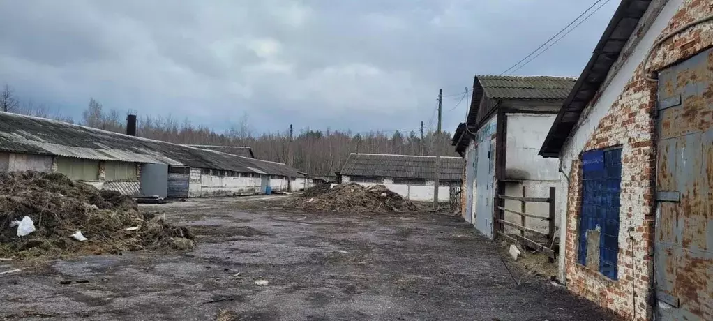 Производственное помещение в Тульская область, Узловский район, ... - Фото 1