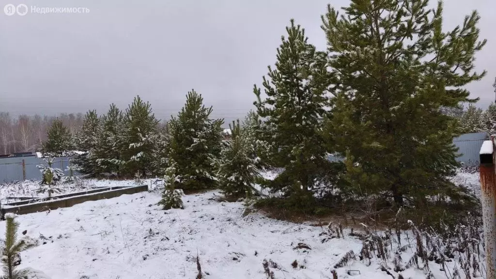 Участок в Челябинская область, Аргаяшский муниципальный округ, деревня ... - Фото 2