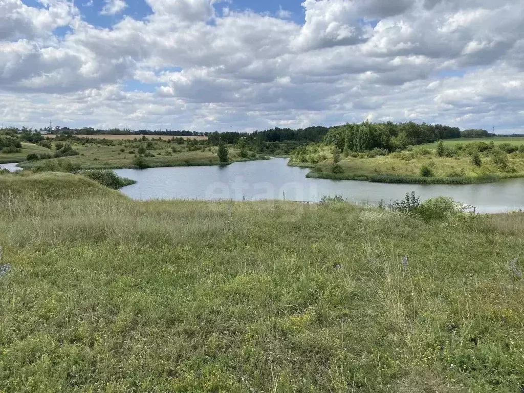 Участок в Липецкая область, Липецкий муниципальный округ, с. Пады ул. ... - Фото 1