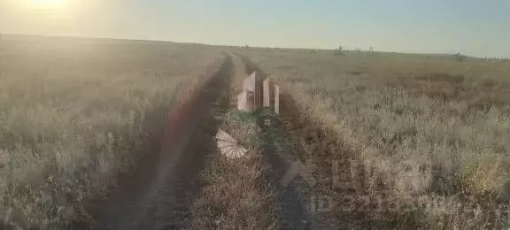 Участок в Саратовская область, Красноармейский район, Золотовское ... - Фото 1