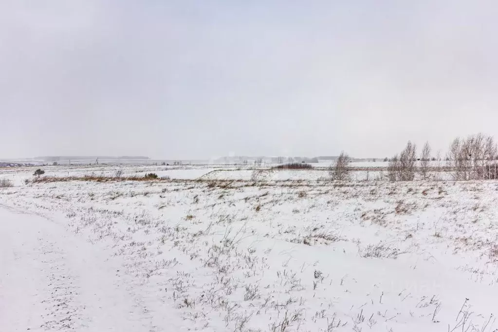 Участок в Новосибирская область, Искитим  (1990.0 сот.) - Фото 1