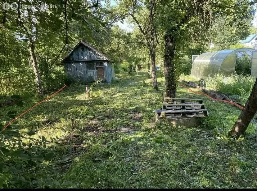 Участок в Калининград, СНТ Пищевик (7.5 м) - Фото 1