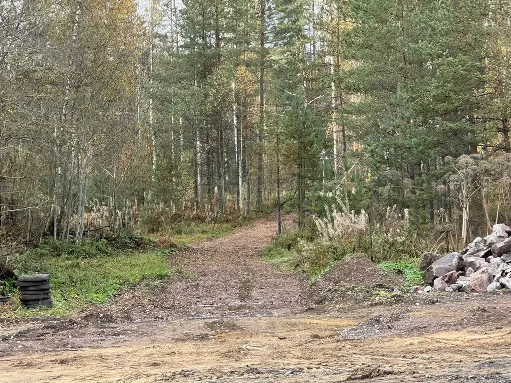 Участок в Ленинградская область, Выборгский район, Красносельское ... - Фото 1