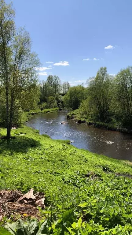 Участок в Московская область, Талдомский городской округ, д. Кутачи  ... - Фото 1