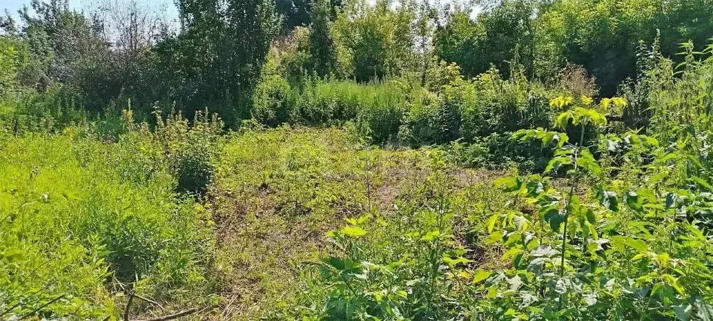 Дом в Курганская область, Курган Синтез садовое товарищество,  (15 м) - Фото 1