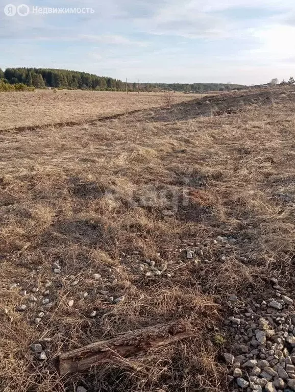 Участок в Алапаевск, улица Ленина (10 м) - Фото 1