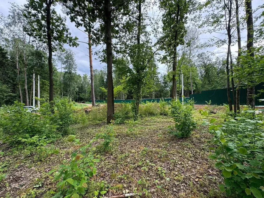Участок в Московская область, Пушкинский городской округ, Левково-3 кп ... - Фото 1