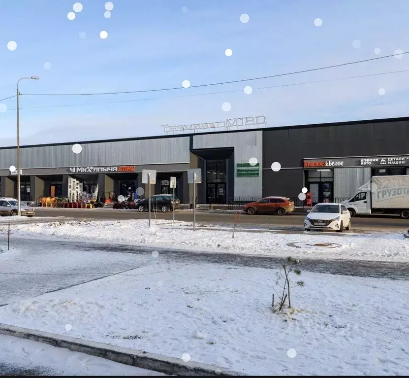 Помещение свободного назначения в Тюменская область, Тюмень ул. ... - Фото 1