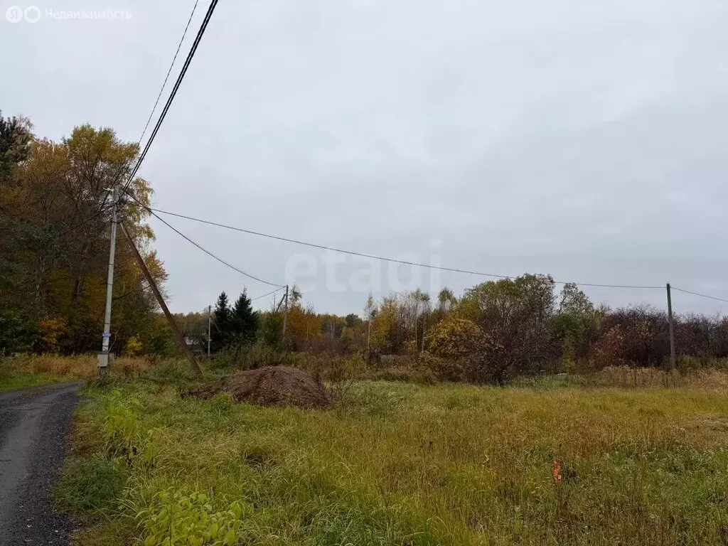 Участок в Калининградская область, Гурьевский муниципальный округ, ... - Фото 2