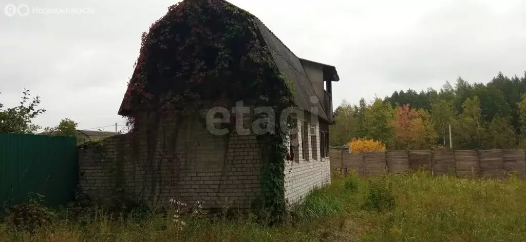 Дом в Стекляннорадицкое сельское поселение, СДТ Химик (48 м) - Фото 1