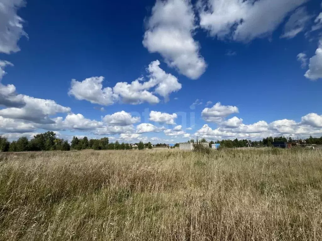 Участок в Новосибирская область, Новосибирский район, Станционный ... - Фото 1