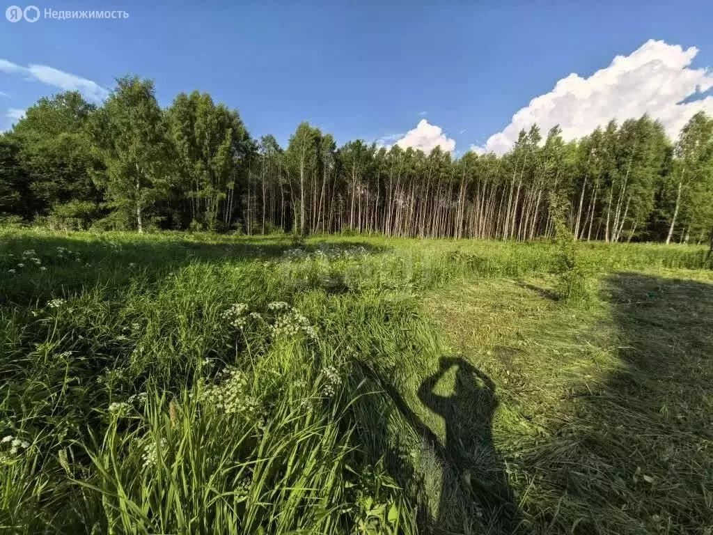 Участок в Ярославский муниципальный округ, деревня Меньшиково (20 м) - Фото 2