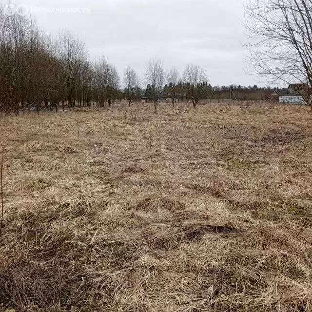 Участок в Ленинградская область, Волосовское городское поселение, ... - Фото 1