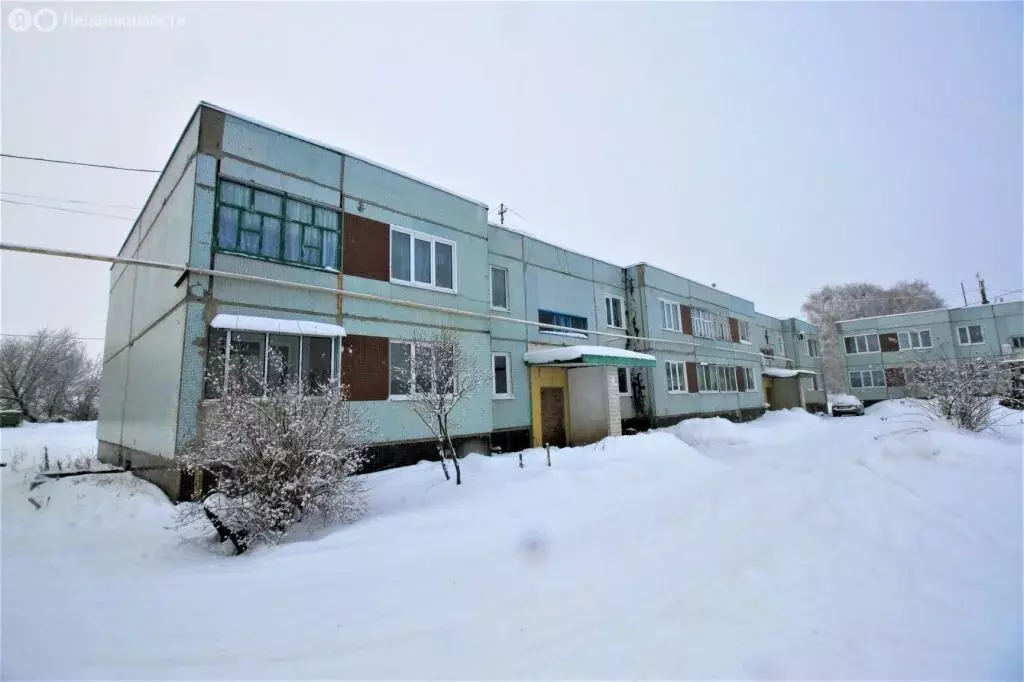 3-комнатная квартира: село Прибрежное, Дорожная улица, 10 (63 м) - Фото 2