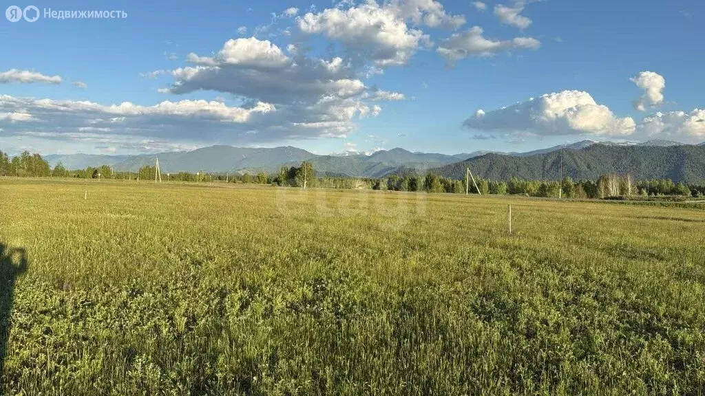 Участок в село Усть-Кокса, Южная улица (14.1 м) - Фото 1