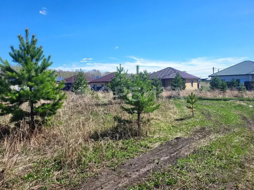 Участок в Тюменская область, Тюменский район, д. Елань ул. Тисовая, 13 ... - Фото 0