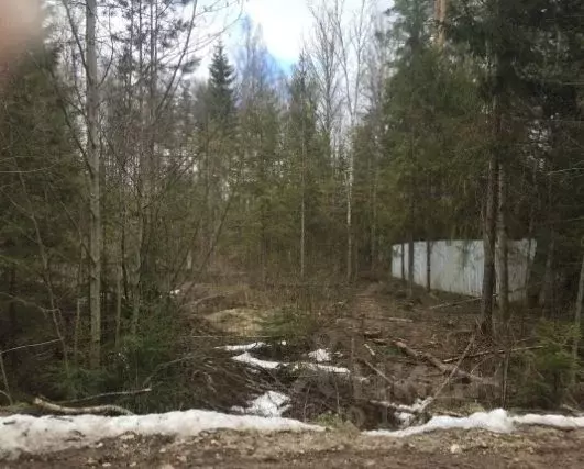 Участок в Новгородская область, Новгородский район, д. Бараниха  (15.0 ... - Фото 0