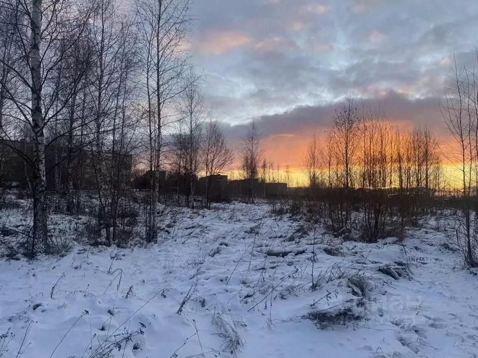 Участок в Московская область, Кашира Ожерелье мкр,  (9.6 сот.) - Фото 2