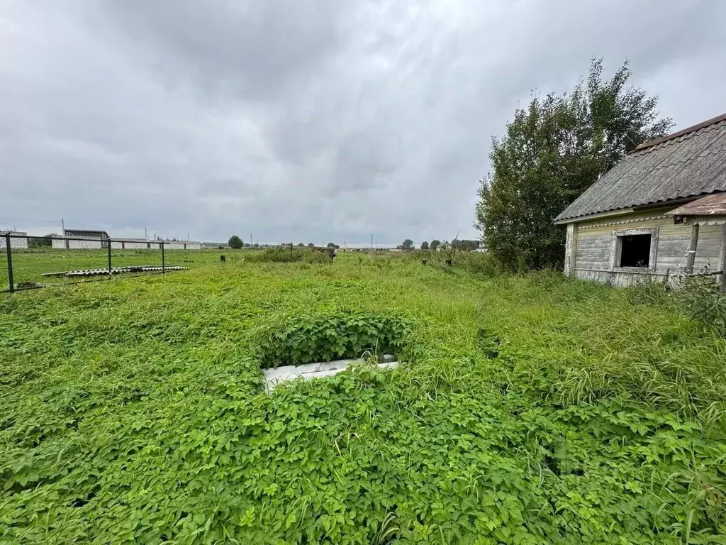 Дом в Ленинградская область, Волосовский район, Клопицкое с/пос, д. ... - Фото 2