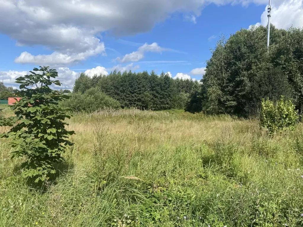 Участок в Московская область, Орехово-Зуевский городской округ, д. ... - Фото 1