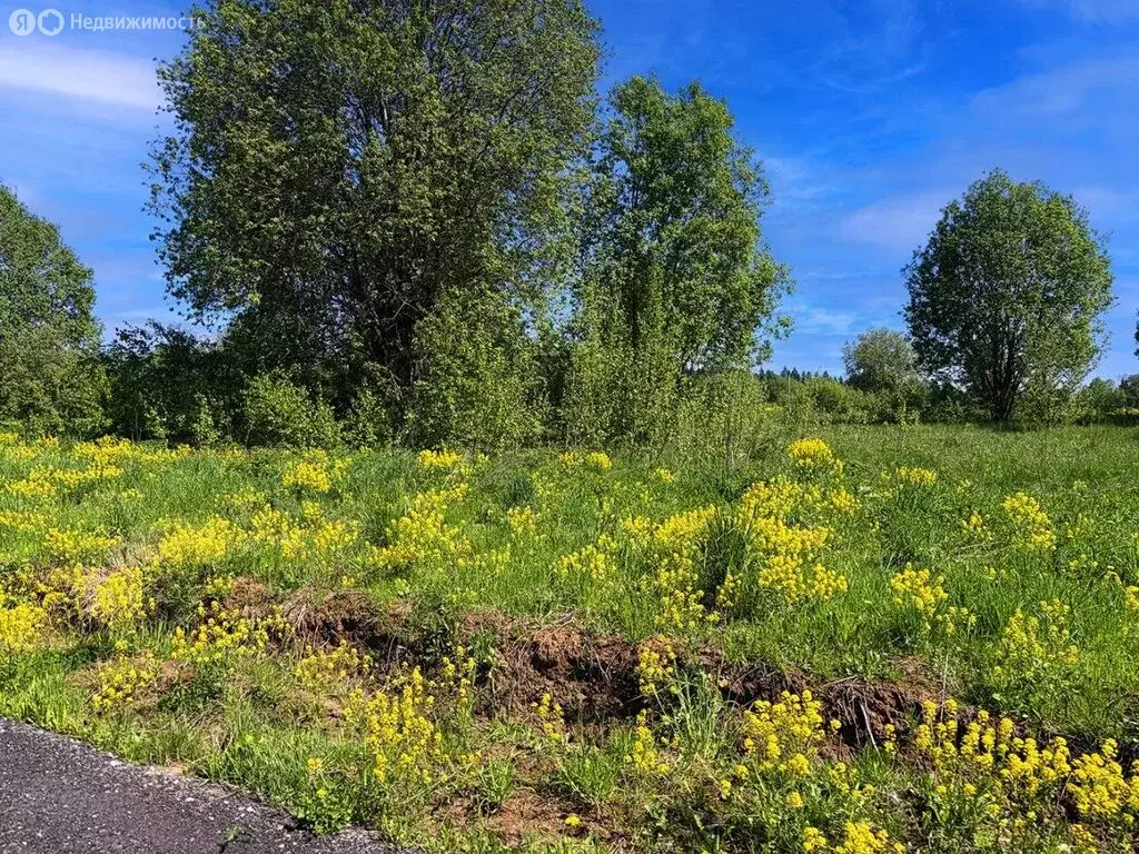 Участок в Московская область, городской округ Клин, КП Коськово, 259 ... - Фото 2