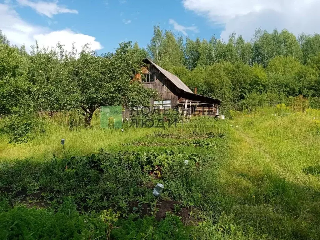 Дом в Удмуртия, Завьяловский район, Прогресс СДТ  (36 м) - Фото 1