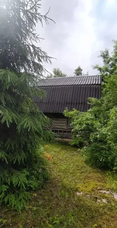 Дом в Ленинградская область, Гатчинский муниципальный округ, ... - Фото 2