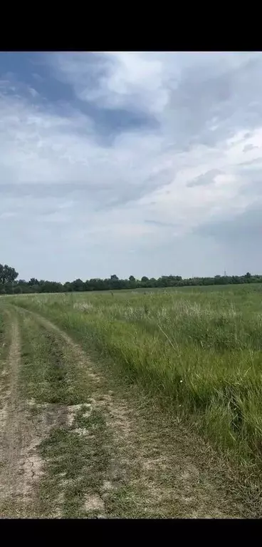 Участок в Краснодарский край, Краснодар ул. Алабайская (5.0 сот.) - Фото 2