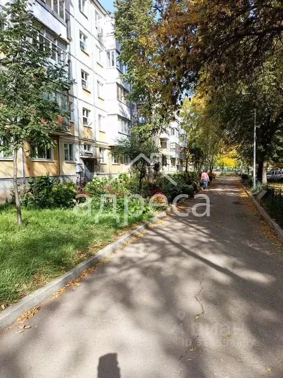 3-к кв. Самарская область, Самара ул. Стара-Загора, 77 (56.4 м) - Фото 1