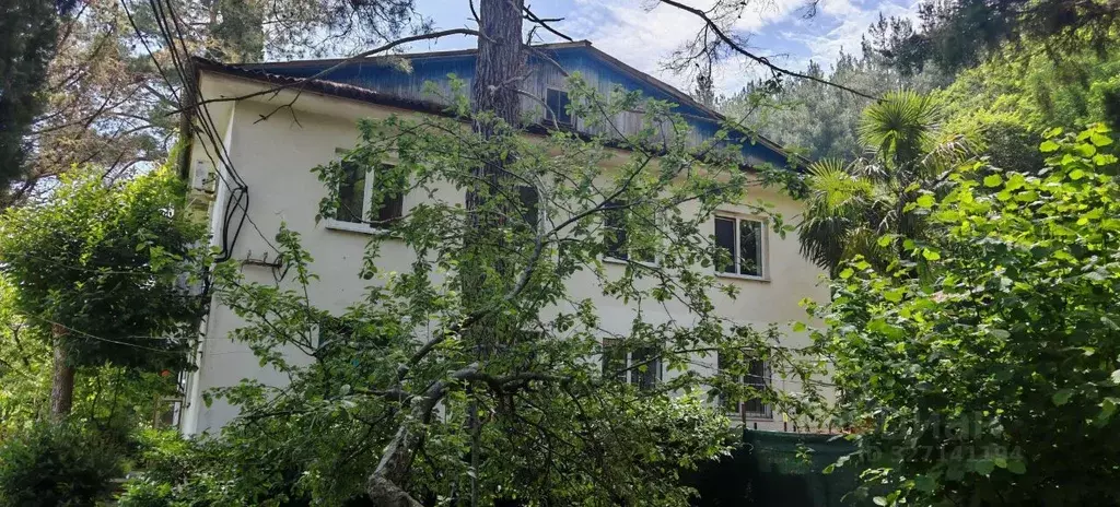 3-к кв. Краснодарский край, Сочи Братская ул., 10 (43.5 м) - Фото 2