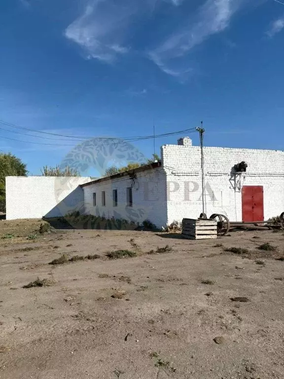 Производственное помещение в Воронежская область, с. Верхний Мамон ул. ... - Фото 1