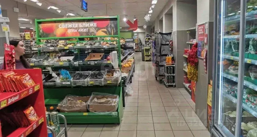 Помещение свободного назначения в Краснодарский край, Динской район, ... - Фото 2