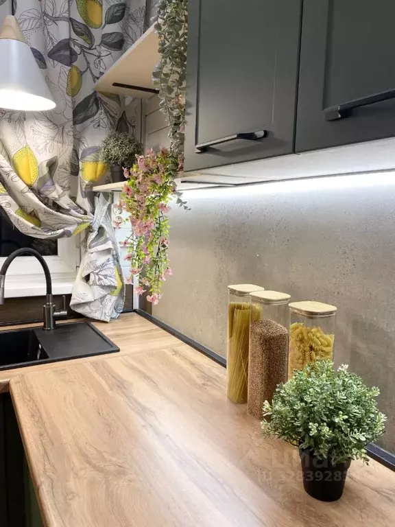 Дом в Московская область, Раменский муниципальный округ, Тишина СНТ  ... - Фото 1